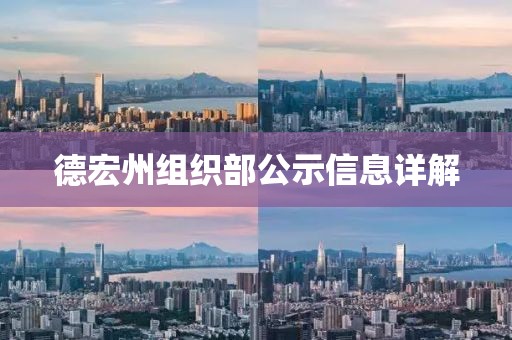 德宏州组织部公示信息详解
