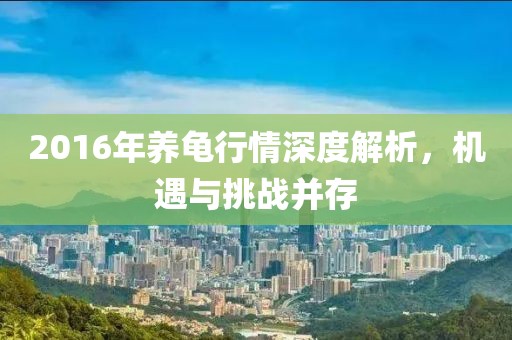 2016年养龟行情深度解析，机遇与挑战并存