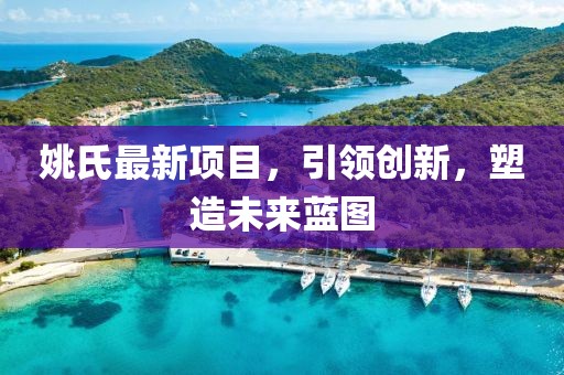 姚氏最新项目，引领创新，塑造未来蓝图
