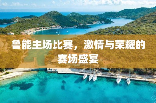 鲁能主场比赛，激情与荣耀的赛场盛宴