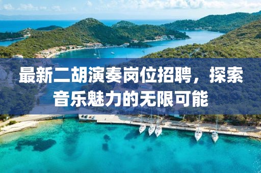 最新二胡演奏岗位招聘，探索音乐魅力的无限可能