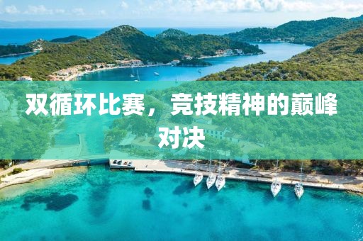 双循环比赛，竞技精神的巅峰对决