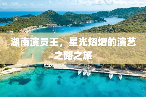 湖南演员王，星光熠熠的演艺之路之旅