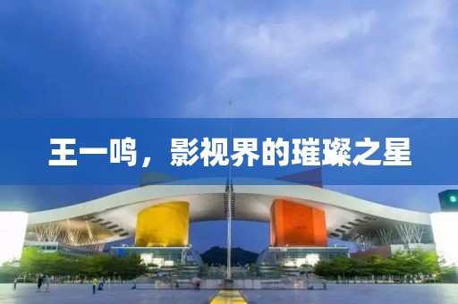 王一鸣，影视界的璀璨之星