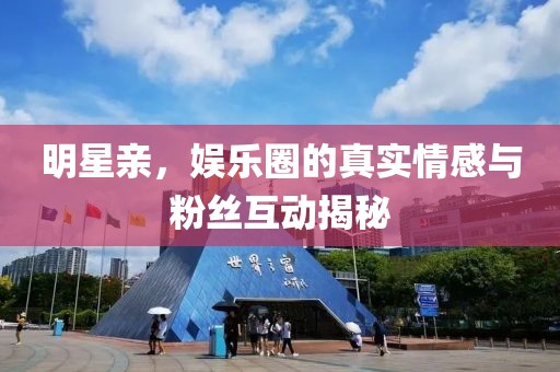 明星亲，娱乐圈的真实情感与粉丝互动揭秘