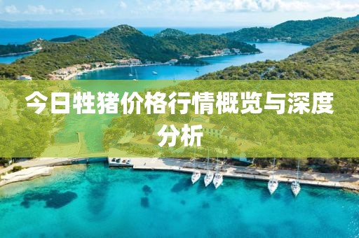 今日牲猪价格行情概览与深度分析