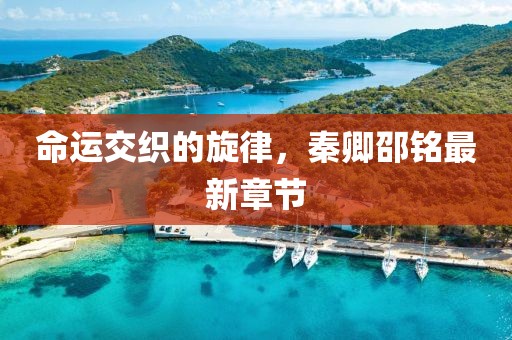 命运交织的旋律，秦卿邵铭最新章节