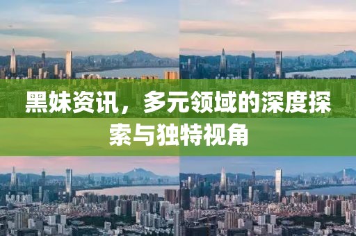 2025年2月 第344页