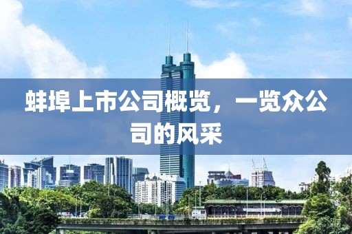 蚌埠上市公司概览，一览众公司的风采