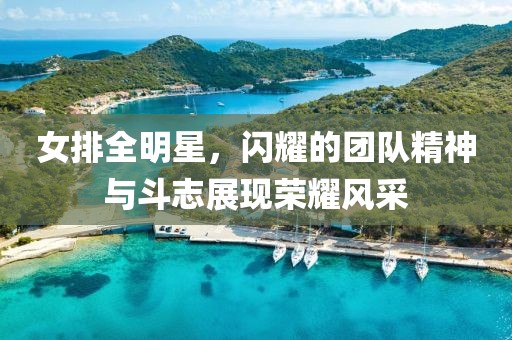 女排全明星，闪耀的团队精神与斗志展现荣耀风采