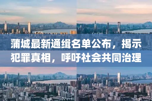 蒲城最新通缉名单公布，揭示犯罪真相，呼吁社会共同治理