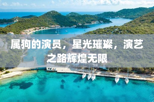 属狗的演员，星光璀璨，演艺之路辉煌无限