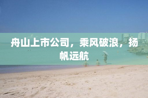 舟山上市公司，乘风破浪，扬帆远航