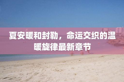 夏安暖和封勒，命运交织的温暖旋律最新章节