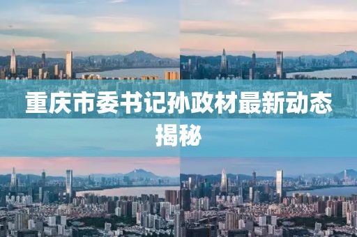 重庆市委书记孙政材最新动态揭秘
