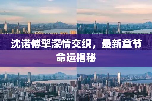 沈诺傅擎深情交织，最新章节命运揭秘