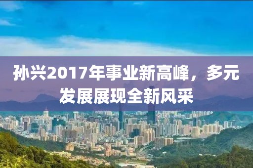 孙兴2017年事业新高峰，多元发展展现全新风采