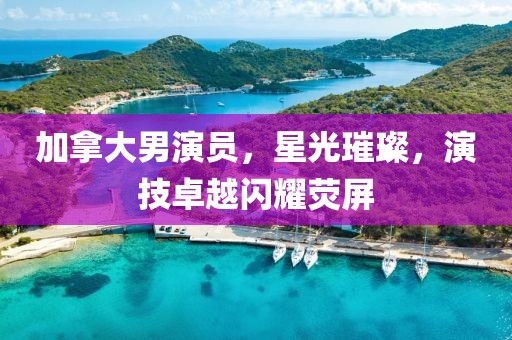 加拿大男演员，星光璀璨，演技卓越闪耀荧屏