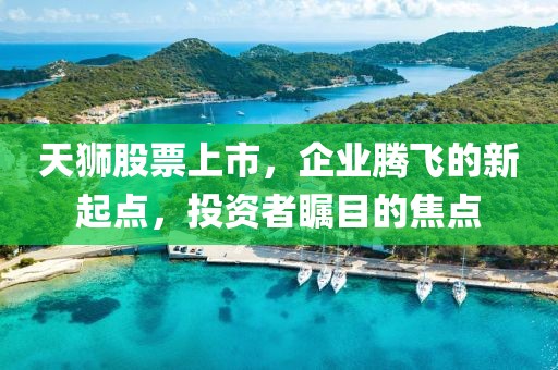 天狮股票上市，企业腾飞的新起点，投资者瞩目的焦点