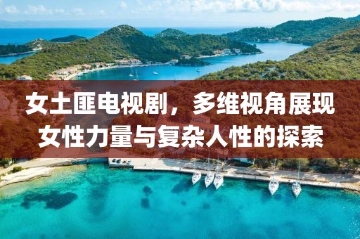 女土匪电视剧，多维视角展现女性力量与复杂人性的探索