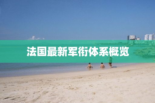 法国最新军衔体系概览