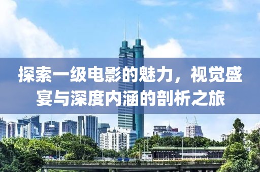 探索一级电影的魅力，视觉盛宴与深度内涵的剖析之旅