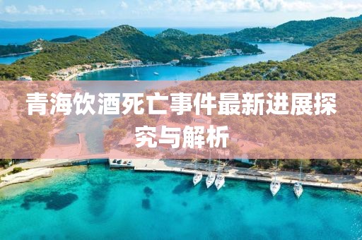 青海饮酒死亡事件最新进展探究与解析