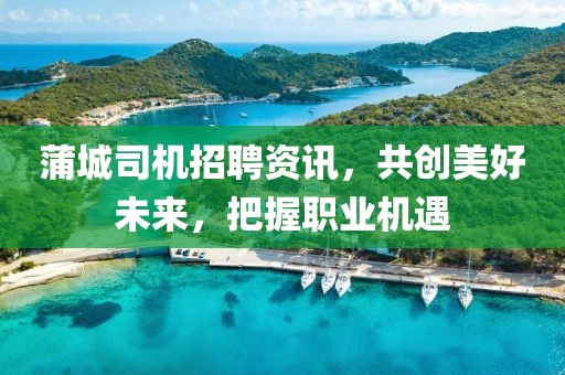 蒲城司机招聘资讯，共创美好未来，把握职业机遇