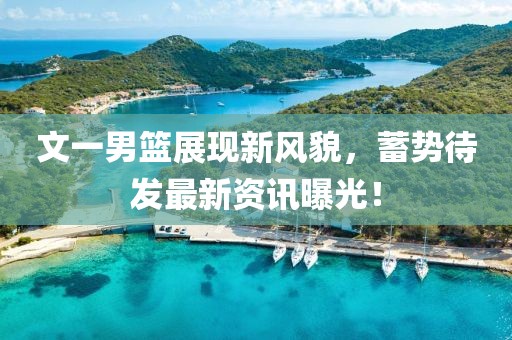 文一男篮展现新风貌，蓄势待发最新资讯曝光！