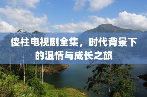 傻柱电视剧全集，时代背景下的温情与成长之旅