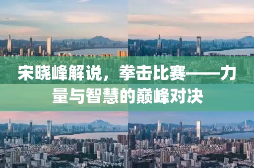 宋晓峰解说，拳击比赛——力量与智慧的巅峰对决