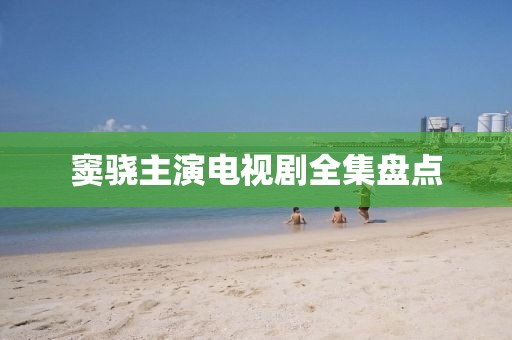 窦骁主演电视剧全集盘点