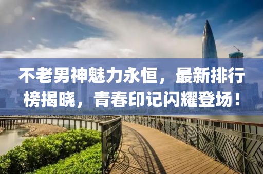 不老男神魅力永恒，最新排行榜揭晓，青春印记闪耀登场！