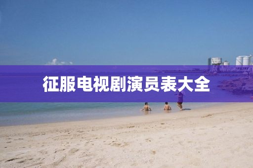 征服电视剧演员表大全