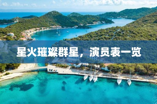 星火璀璨群星，演员表一览
