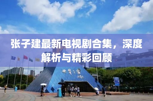张子建最新电视剧合集，深度解析与精彩回顾