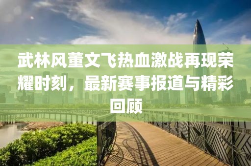 武林风董文飞热血激战再现荣耀时刻，最新赛事报道与精彩回顾
