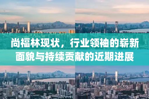 尚福林现状，行业领袖的崭新面貌与持续贡献的近期进展