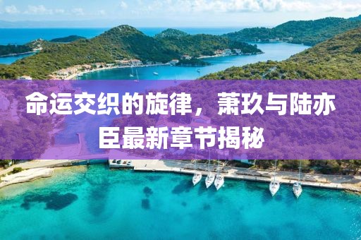 命运交织的旋律，萧玖与陆亦臣最新章节揭秘