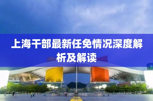 上海干部最新任免情况深度解析及解读