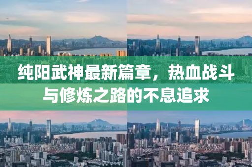 纯阳武神最新篇章，热血战斗与修炼之路的不息追求