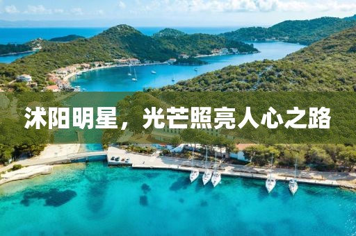 沭阳明星，光芒照亮人心之路