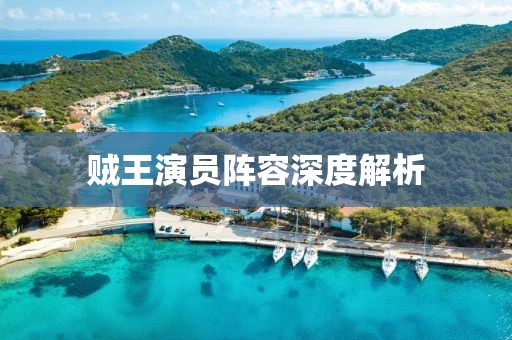贼王演员阵容深度解析