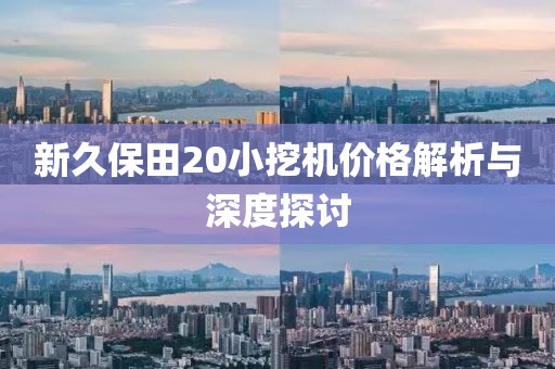 新久保田20小挖机价格解析与深度探讨
