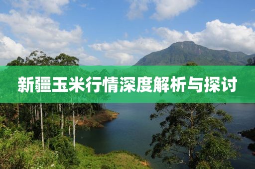 新疆玉米行情深度解析与探讨