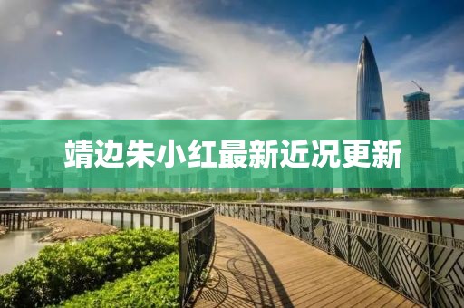 靖边朱小红最新近况更新