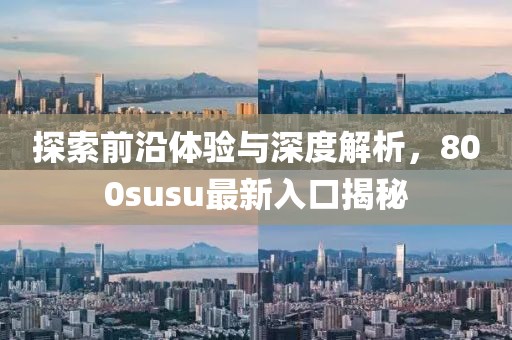 探索前沿体验与深度解析，800susu最新入口揭秘
