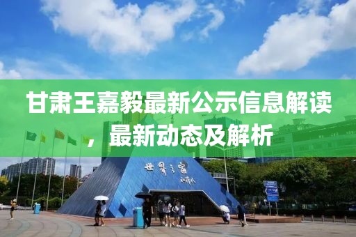 甘肃王嘉毅最新公示信息解读，最新动态及解析