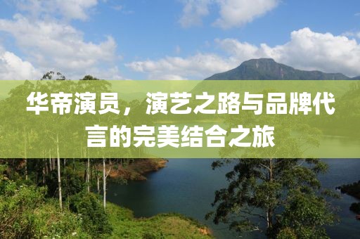 华帝演员，演艺之路与品牌代言的完美结合之旅