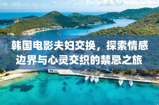 韩国电影夫妇交换，探索情感边界与心灵交织的禁忌之旅